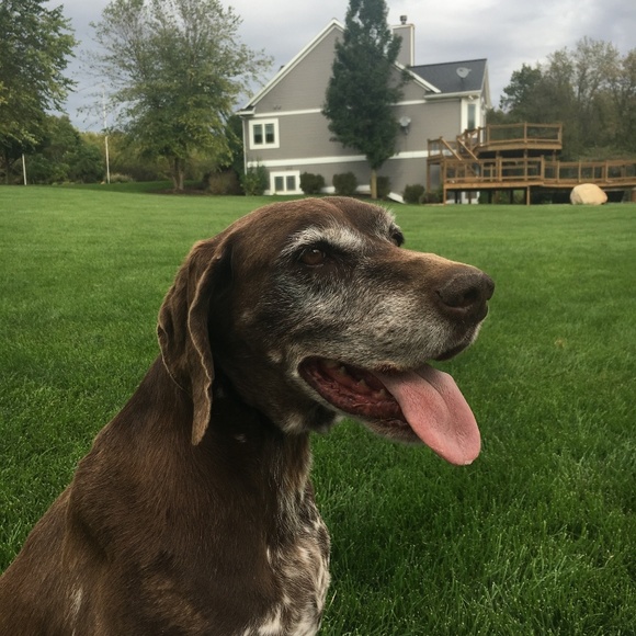 Meet your Posher, Paige - Picture 3 of 9